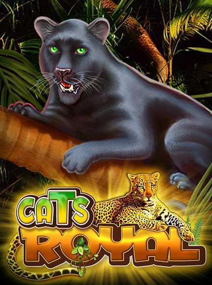 Cats Royal