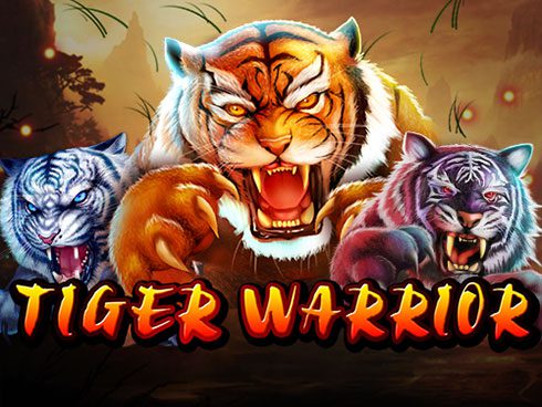 TheTigerWarrior
